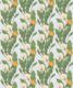 Dandelions Wallpaper