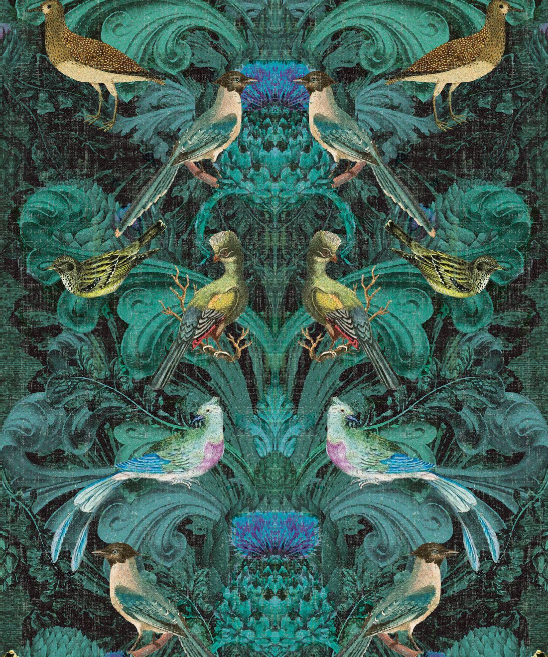Simcox - Birdlife Wallpaper