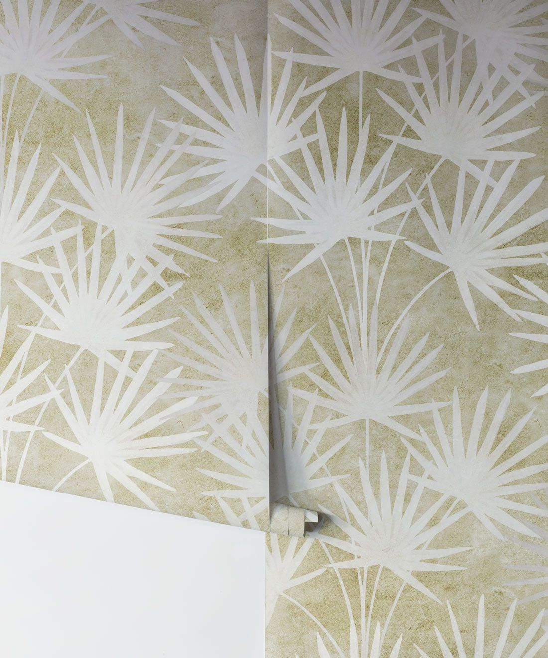 Oriental Palm Wallpaper