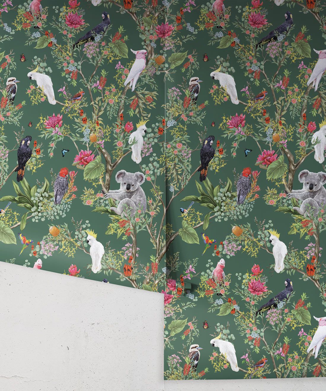 Australia Wallpaper • Cockatoos, Koalas, Parrots, Finches • Milton & King USA • Green Wallpaper Roll