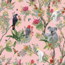 Australia Wallpaper • Cockatoos, Koalas, Parrots, Finches • Milton & King Australia • Coral Wallpaper Swatch