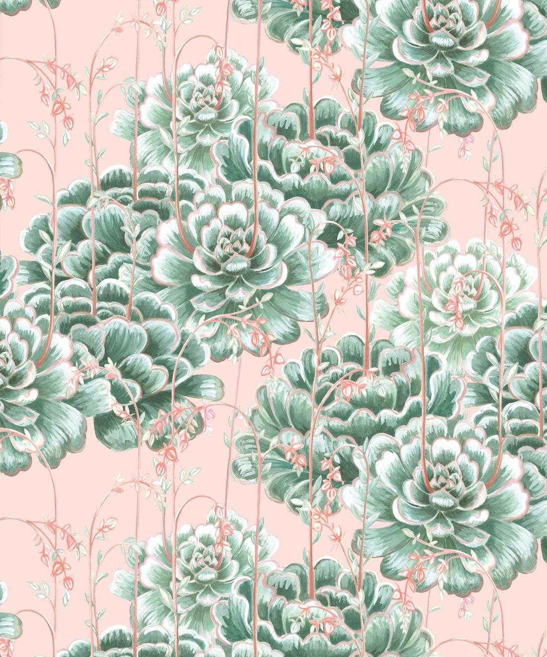 Succulents Wallpaper Green Pink • Cactus Wallpaper • Desert Wallpaper Swatch on pink background
