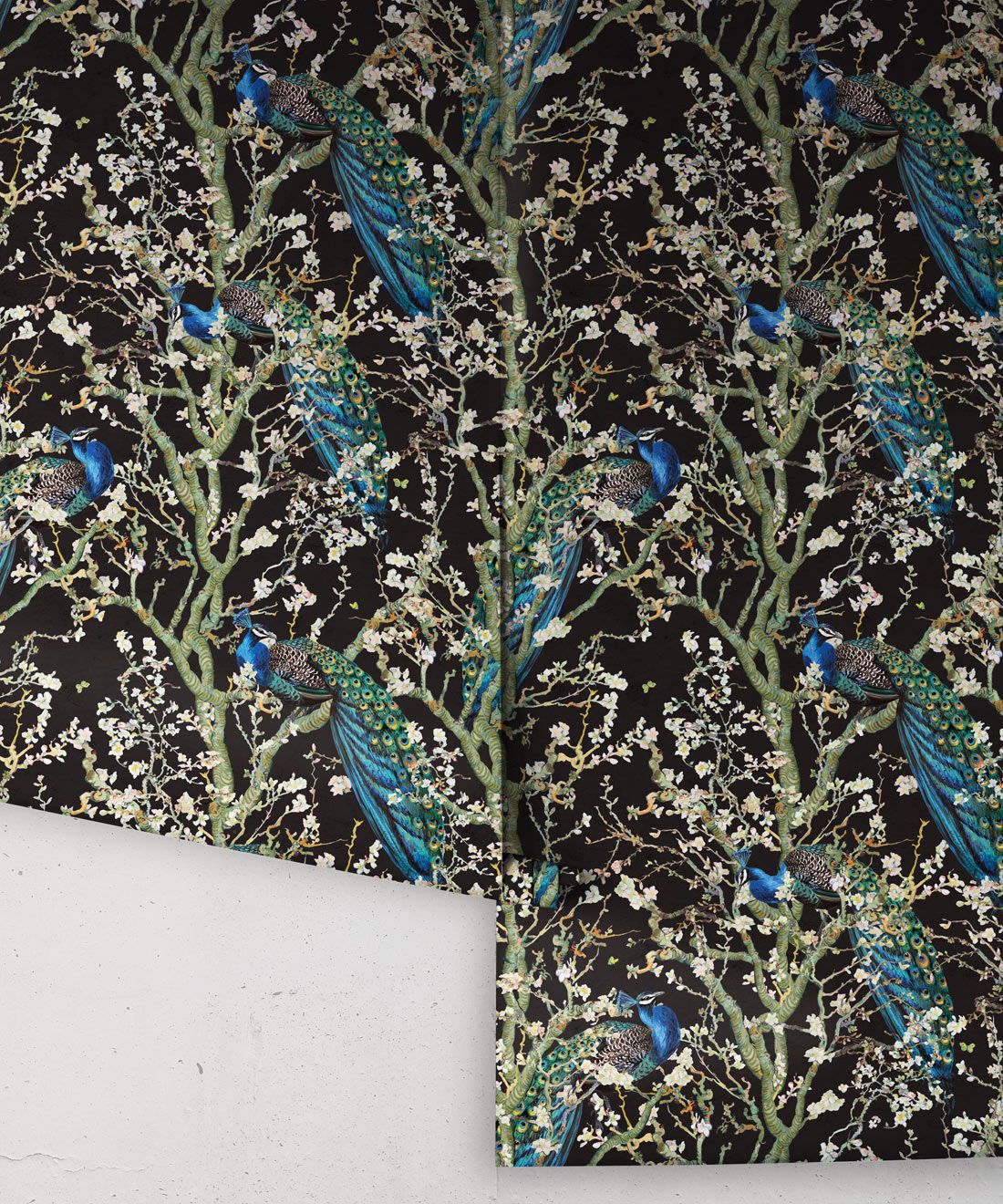 Almond Blossom Wallpaper • Chinoiserie Wallpaper • Wallpaper with Peacocks • Black Night Wallpaper • Rolls