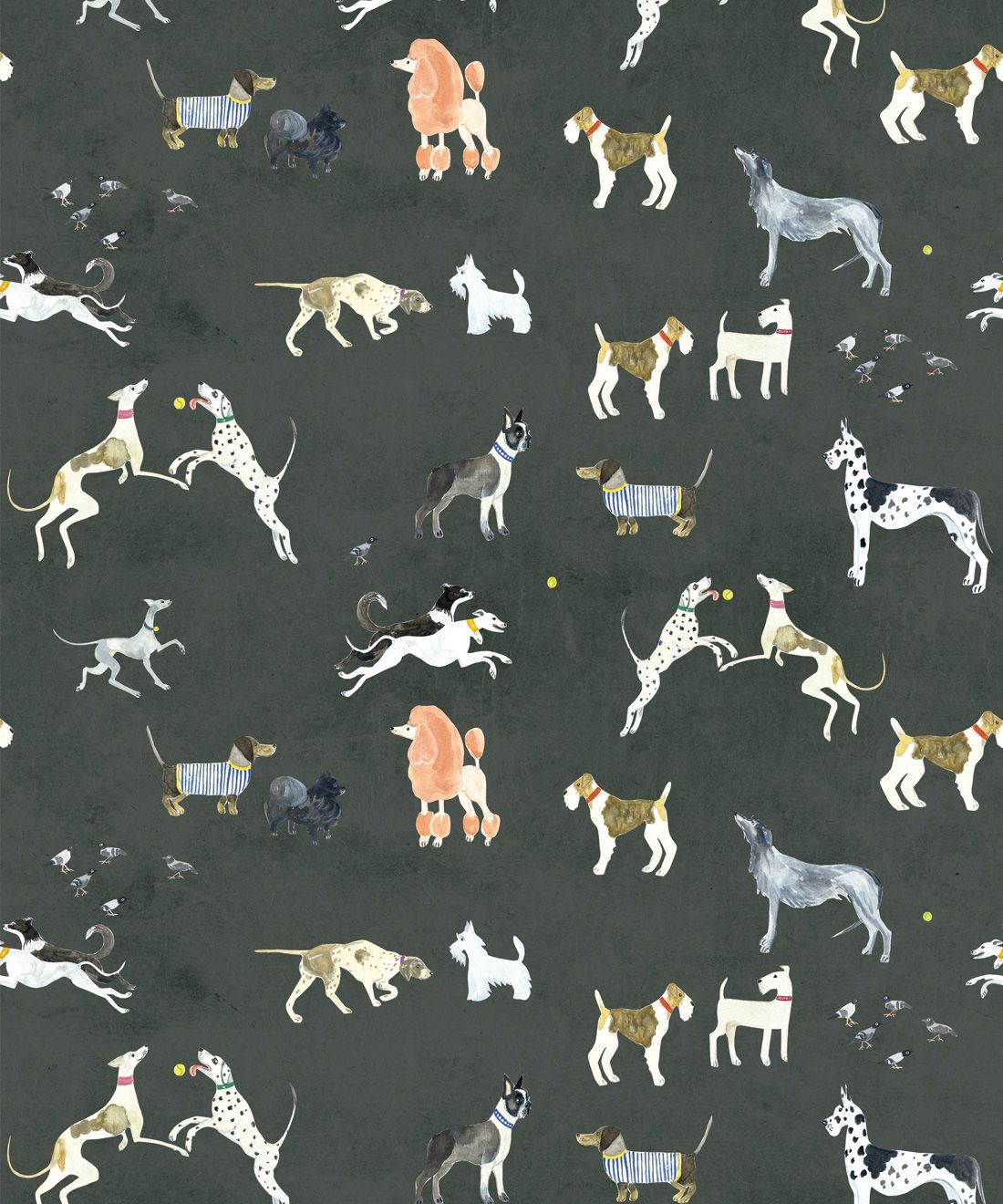 Doggies Wallpaper • Dog Wallpaper • Charcoal • Swatch