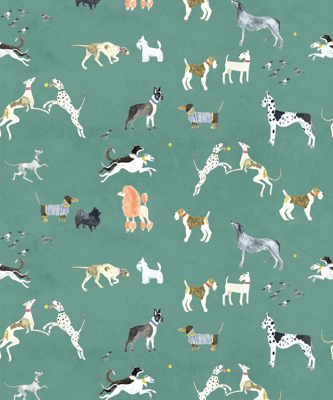 Doggies Wallpaper