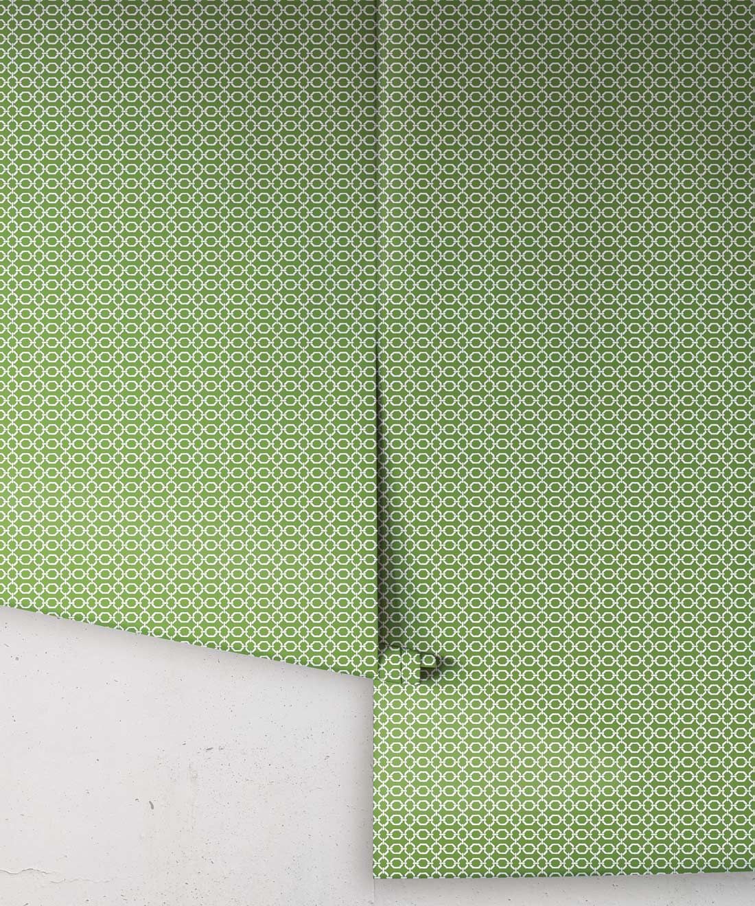 Ravello Wallpaper • Dianne Bergeron • Parsley • Roll