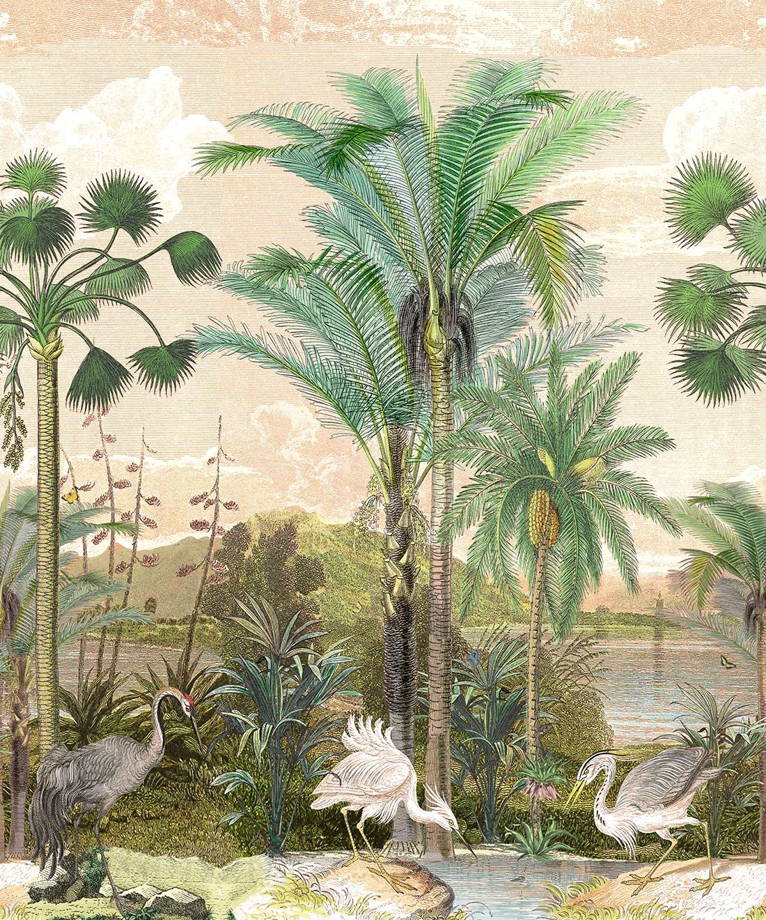 South Asian Subcontinent Wallpaper Mural •Bethany Linz • Palm Tree Mural • Pink • Swatch