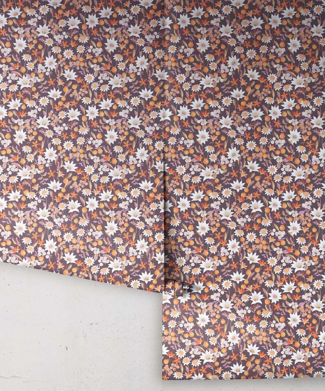 Flannel Flowers Wallpaper • Orange • Rolls