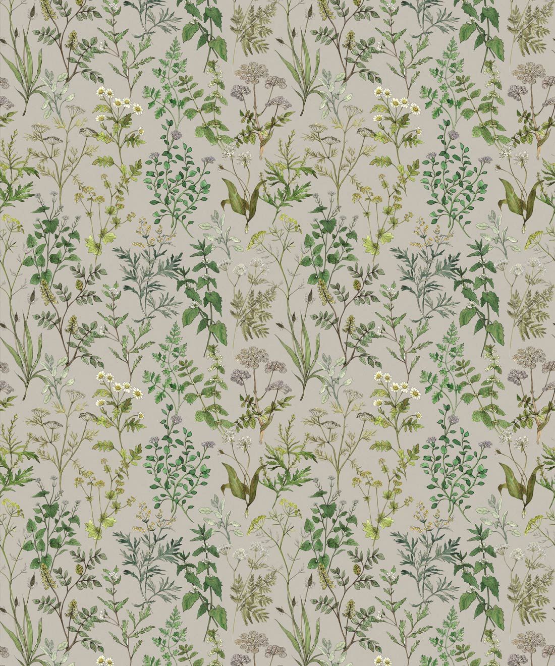 Herbarium Wallpaper • Hackney & Co. • Grey • Swatch
