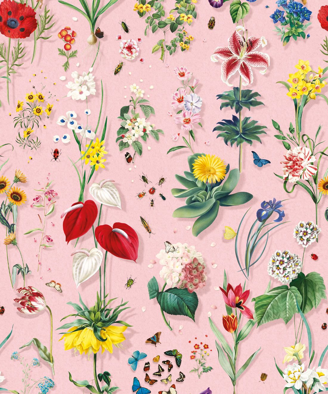 Jolie Wallpaper • Floral Wallpaper • Ribbon • Swatch