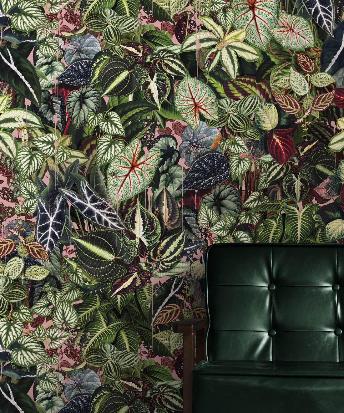 Verde Wallpaper • Green Leaf Wallpaper • Botanical Wallpaper • Coral • Insitu