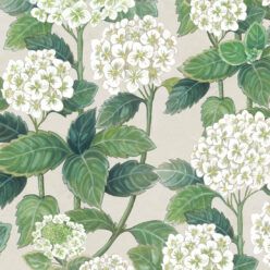 Hydrangea Garden Wallpaper • Beige • Swatch