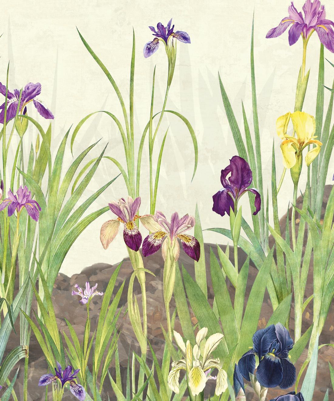Iris Garden Mural • Beige • Swatch