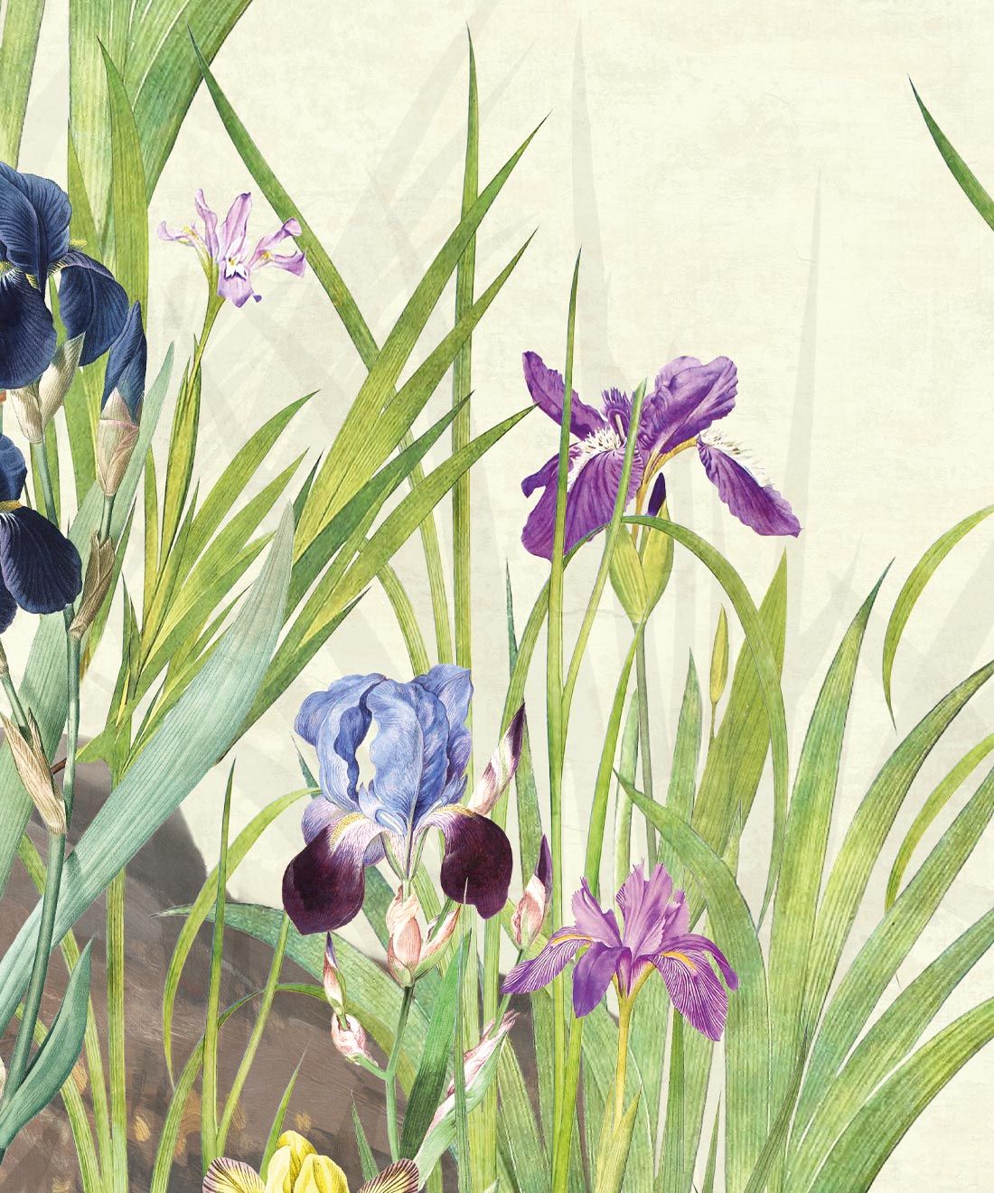 Iris Garden Mural • Beige • Swatch