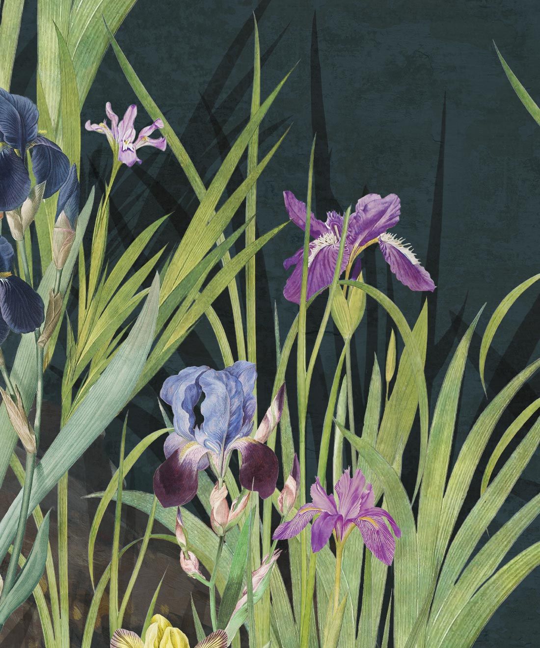 Iris Garden Mural • Navy • Swatch