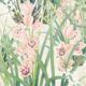 Garden Orchids Wallpaper • Beige • Swatch
