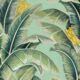 The Great Shalimar • Banana Leaf Wallpaper • Green • Swatch