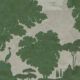 Tuscan Landscape Mural • Italian Wallpaper • Tree Wallpaper • Silhouette Wallpaper • Green • Swatch