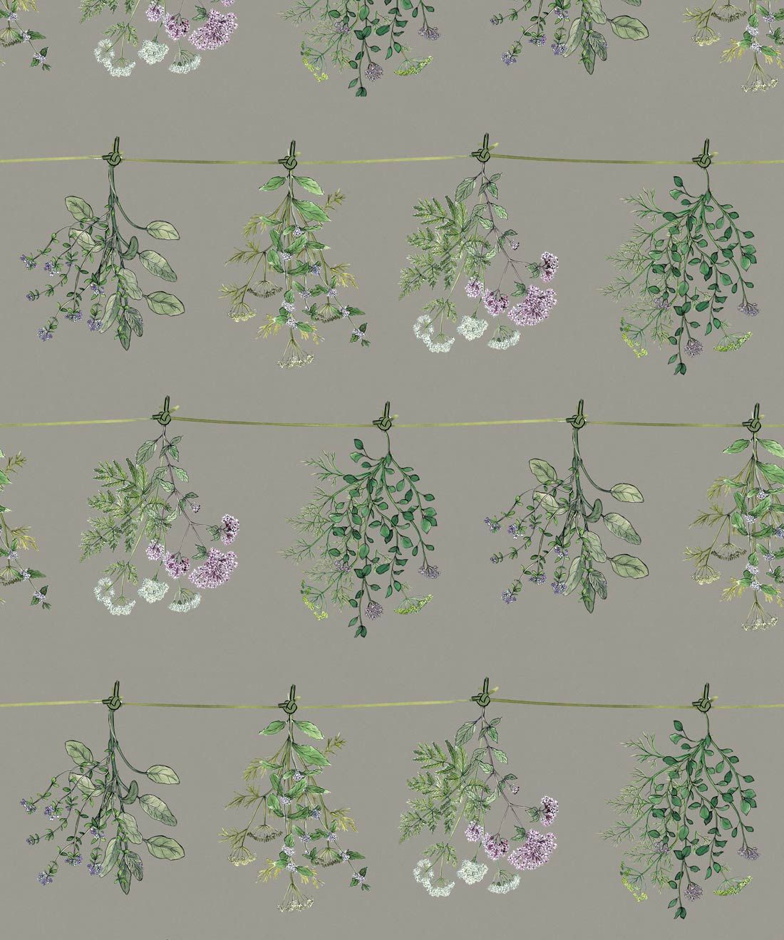 Dried Herbs Wallpaper • Hackney & Co. • Sage Grey • Swatch
