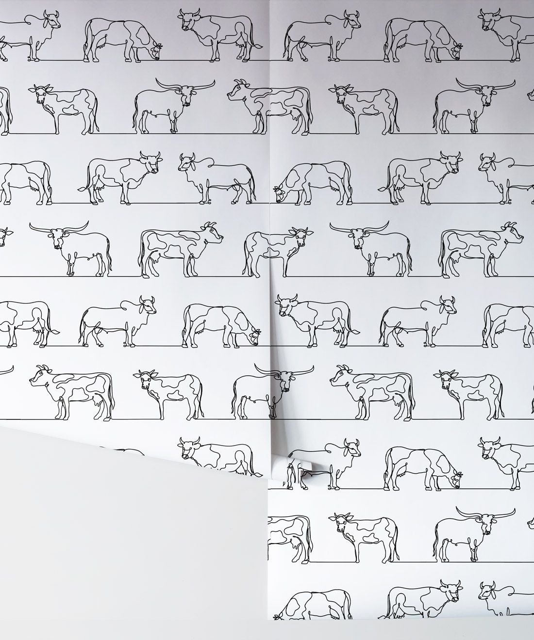 The Herd Wallpaper • Cow, Cattle, Farm Animals • White • Rolls