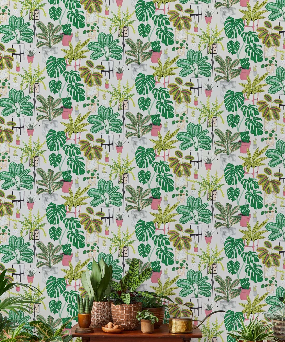 House Plants (Large) • Jacqueline Colley • Wallpaper Republic • Green • Insitu