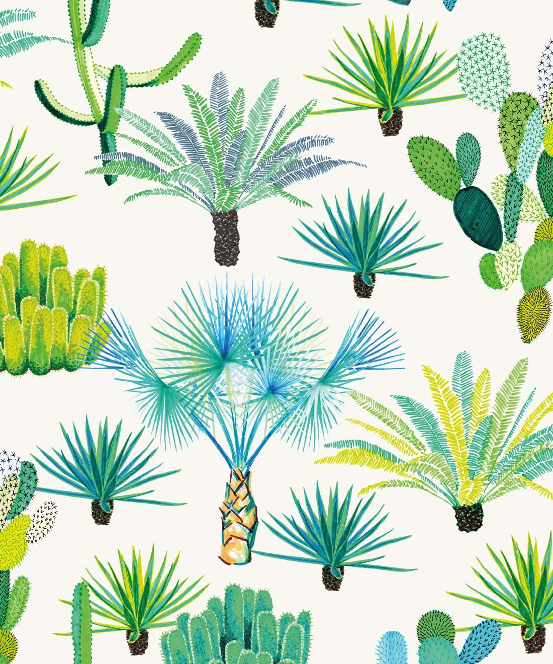 Cacti Wallpaper
