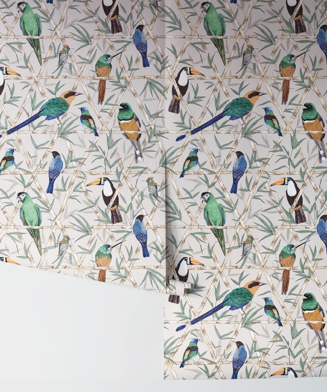 Bamboo Birds Wallpaper • Jacqueline Colley • Mushroom • Rolls