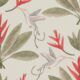 Hummingbirds & Heliconias Wallpaper • Allira Tee • Bird Wallpaper • Beige • Swatch