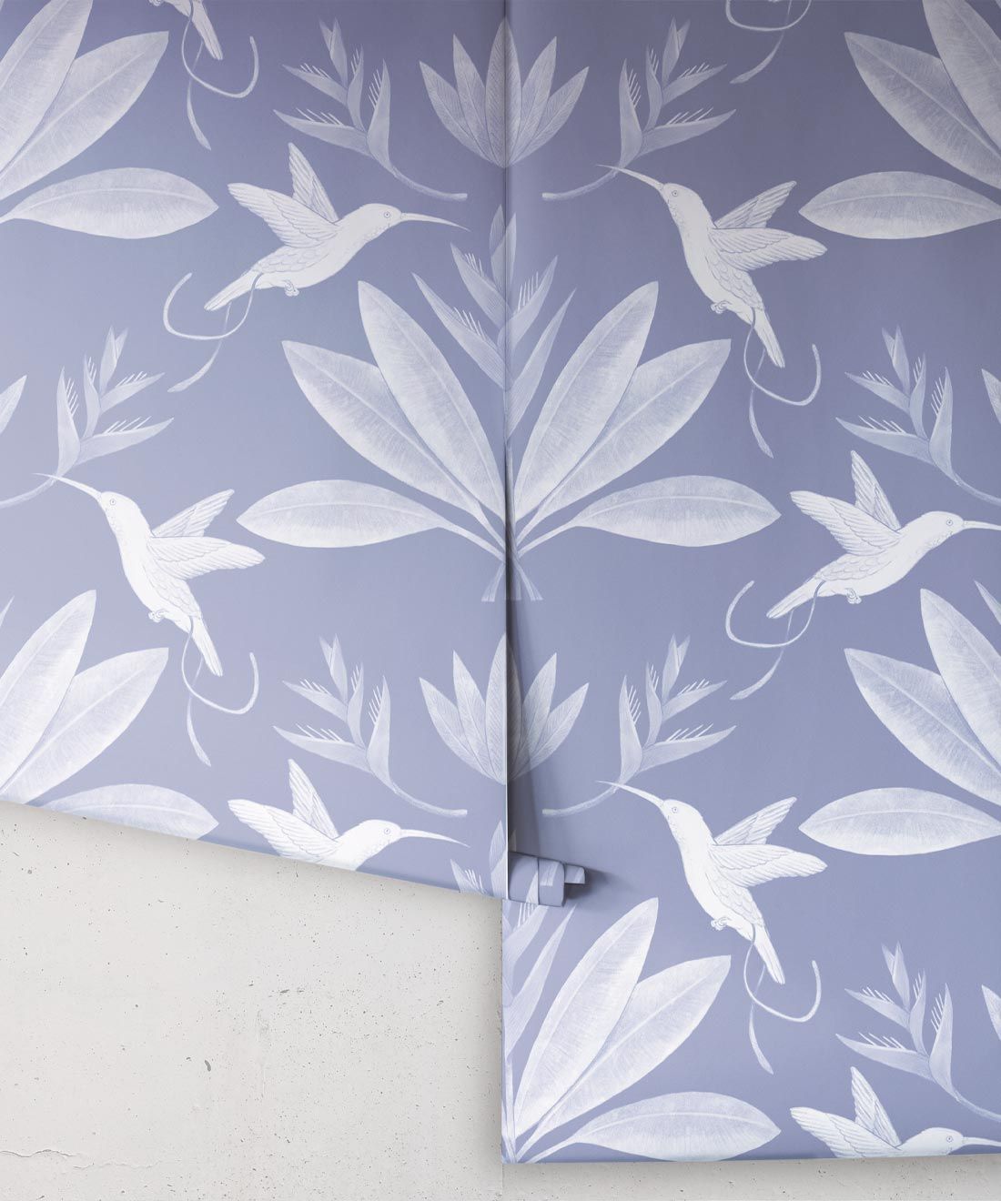 Hummingbirds & Heliconias Wallpaper • Allira Tee • Bird Wallpaper • Blue • Rolls