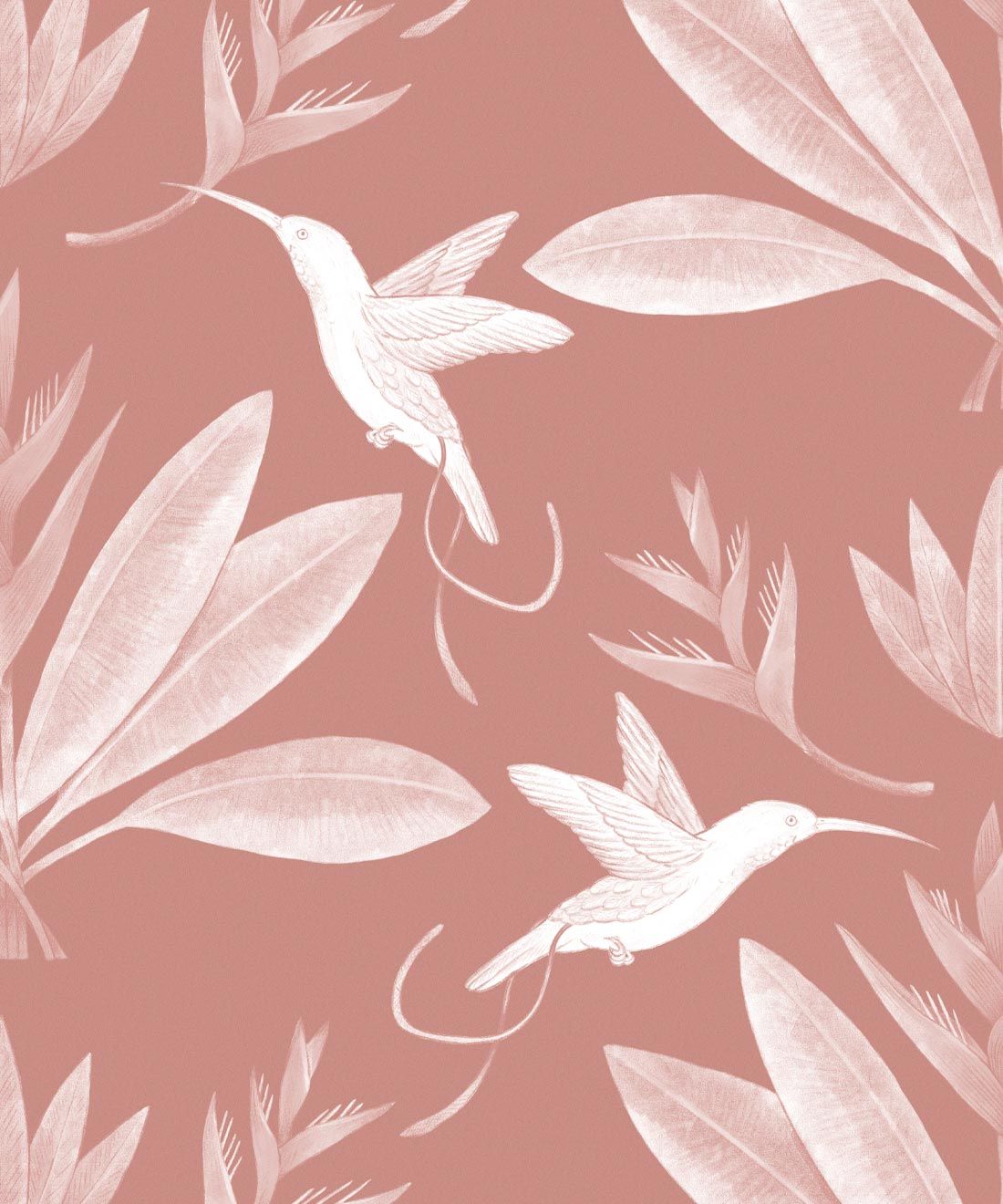 Hummingbirds & Heliconias Wallpaper • Allira Tee • Bird Wallpaper • Rust • Swatch