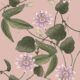 Passiflora Wallpaper • Warm Pink • Swatch