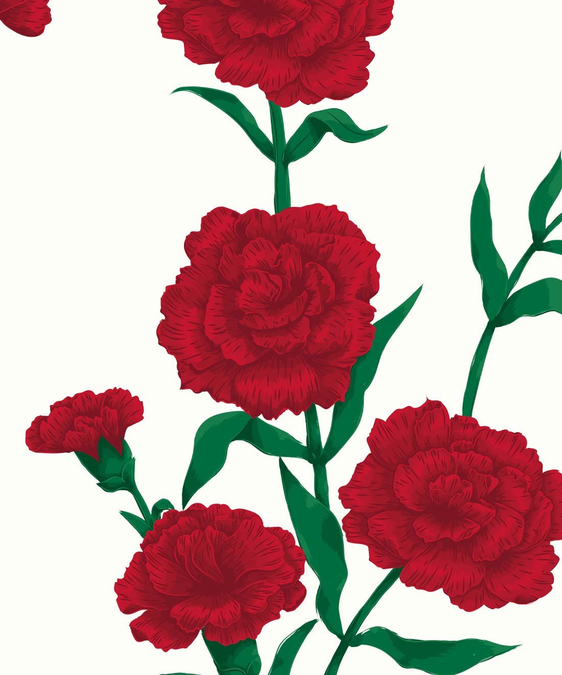 What In Carnation Wallpaper • Floral Wallpaper • Miranda Merlot • Swatch
