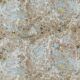Rock Marbling Wallpaper • Natural Stone • Earth • Swatch