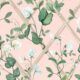 Grande Climbing Sweet Pea Wallpaper • Pink • Swatch