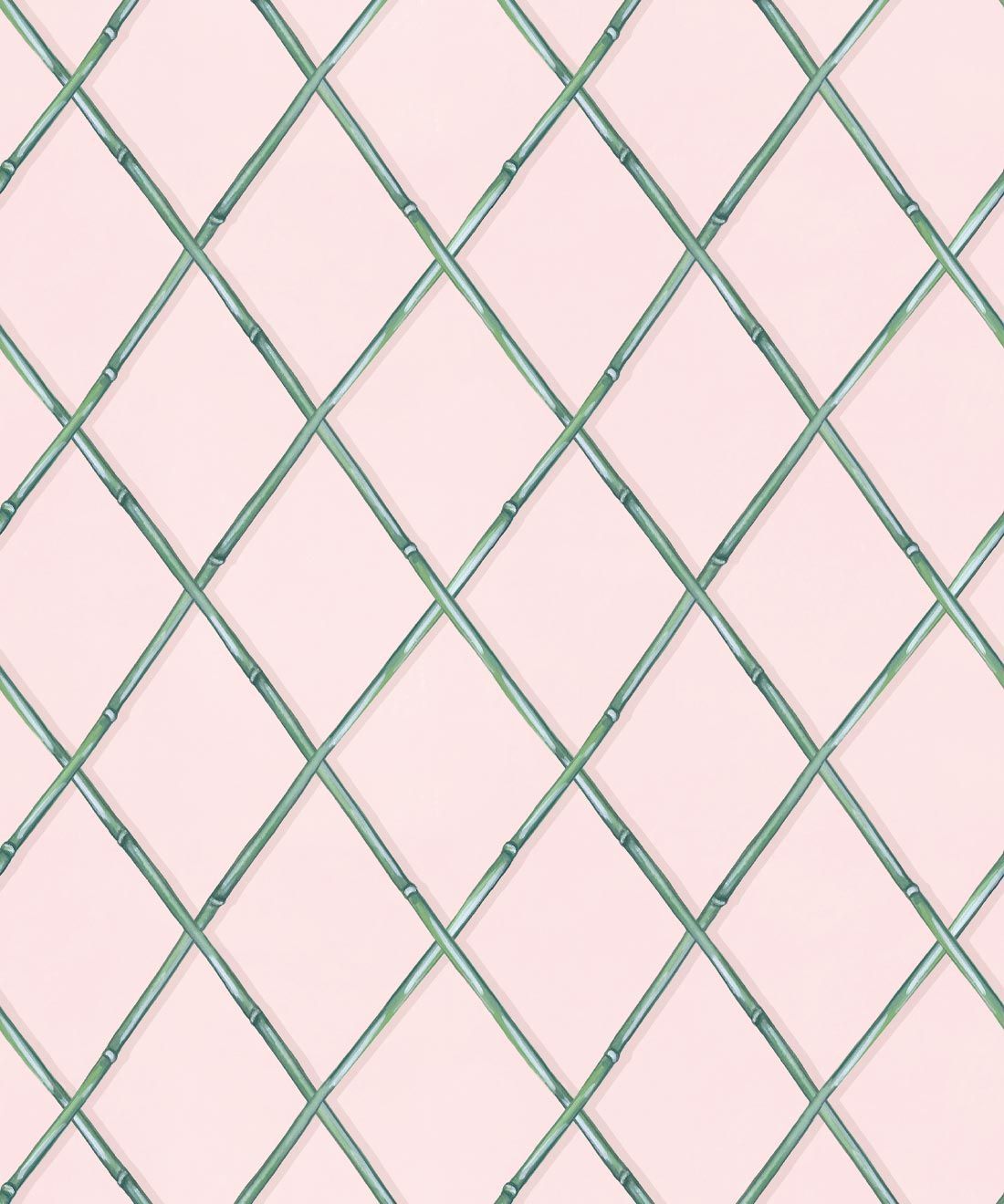 Colony Wallpaper • Pink & Green • Swatch