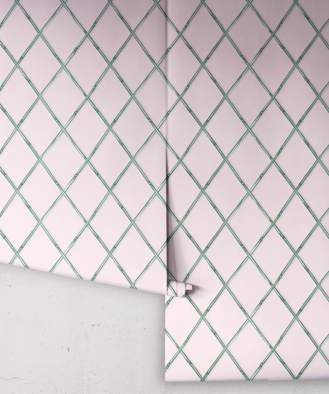 Colony Wallpaper • Pink & Green • Rolls