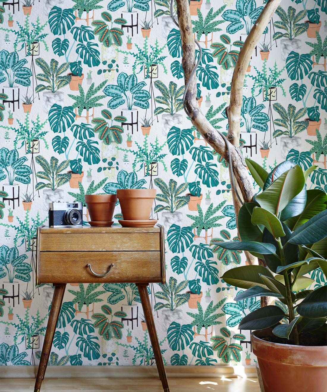 House Plants • Jacqueline Colley • Wallpaper Republic • Aqua • Insitu