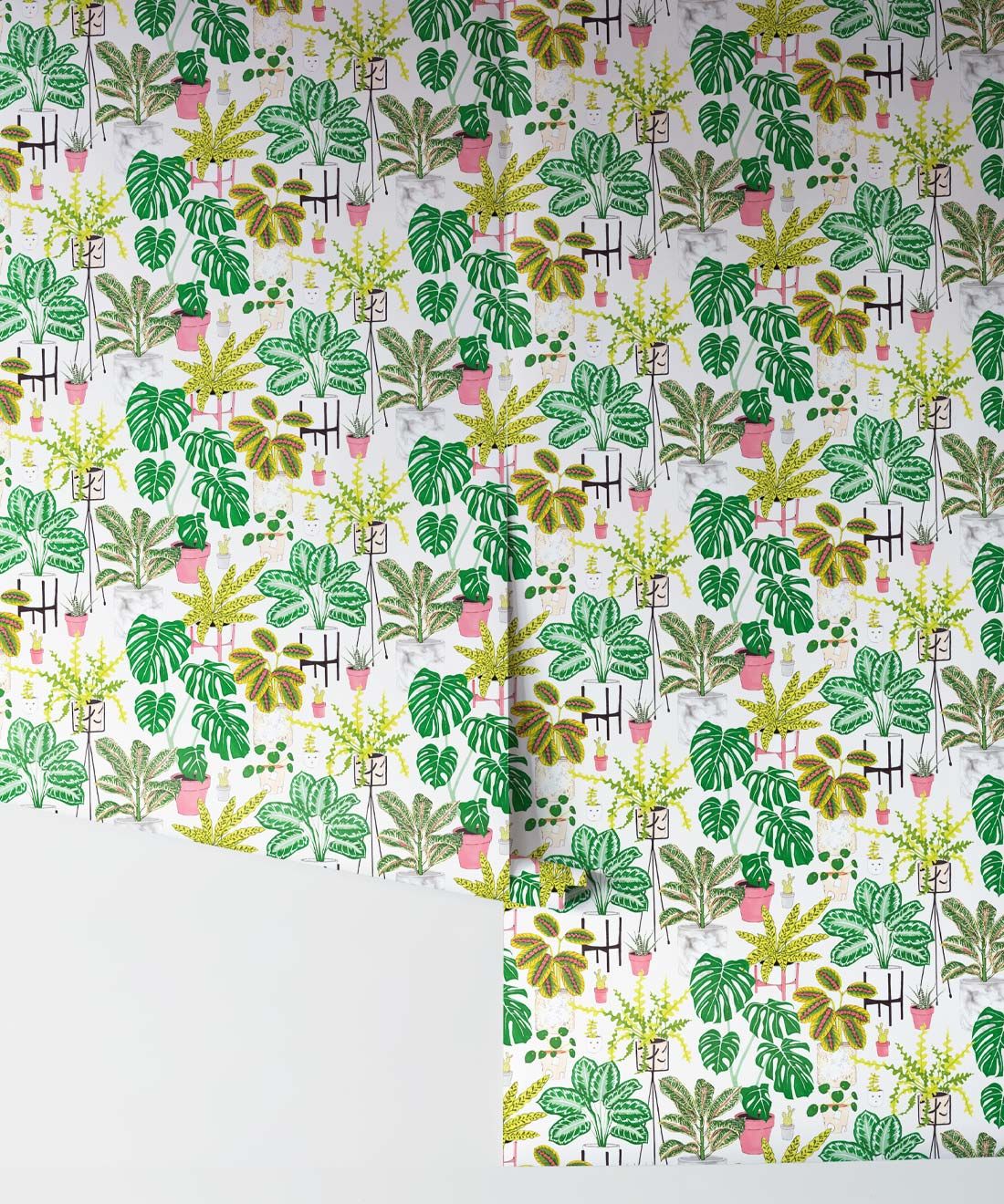House Plants • Jacqueline Colley • Wallpaper Republic • Green • Rolls