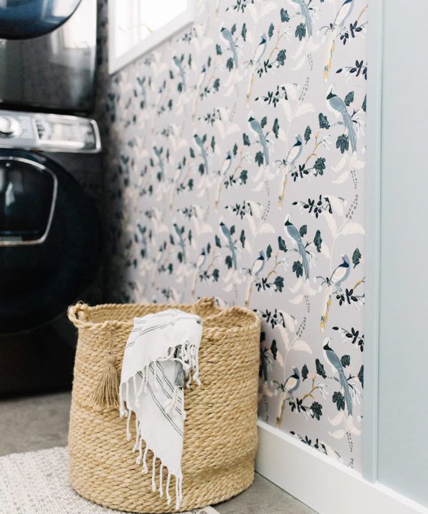 Birds Of Paradise • Teresa Chan • Grey Wallpaper • Laundry Room wallpaper