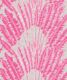 Feather Palm Pink Breeze
