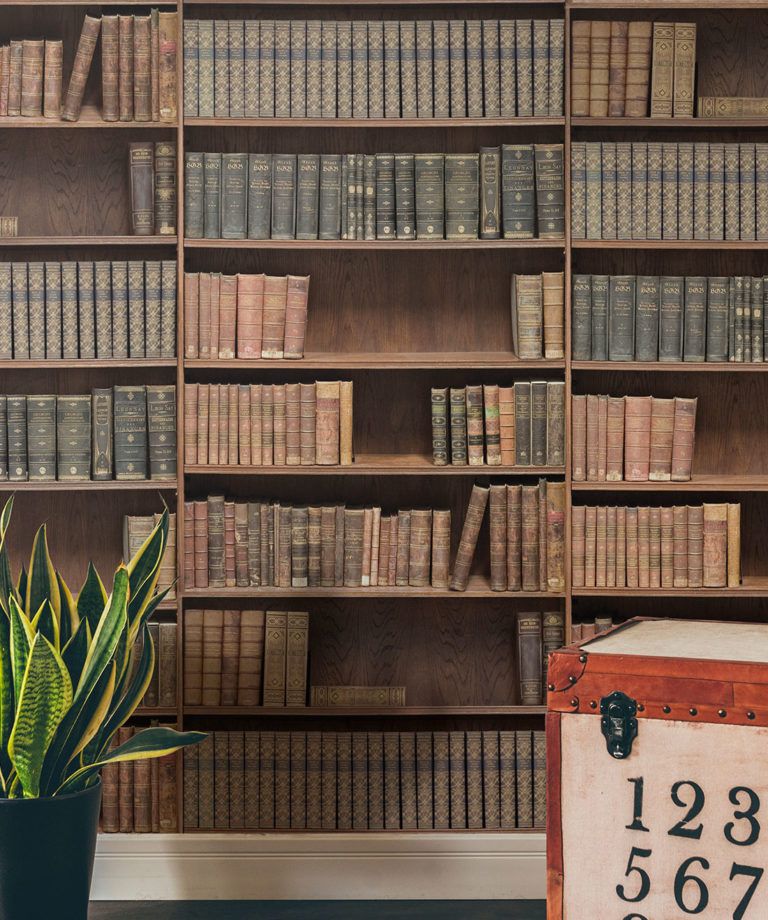 Bookshelf Wallpaper • Realistic Library Design • Milton & King