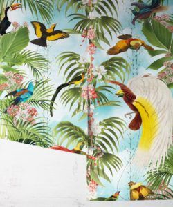 Paradiso Wallpaper • Lush Botanical & Tropical • Milton & King UK