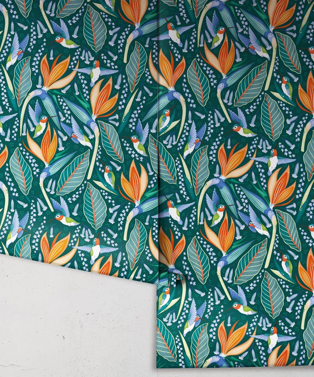 Hummingbird Wallpaper • Birds Of Paradise Flower • Bird Wallpaper • Green Wallpaper