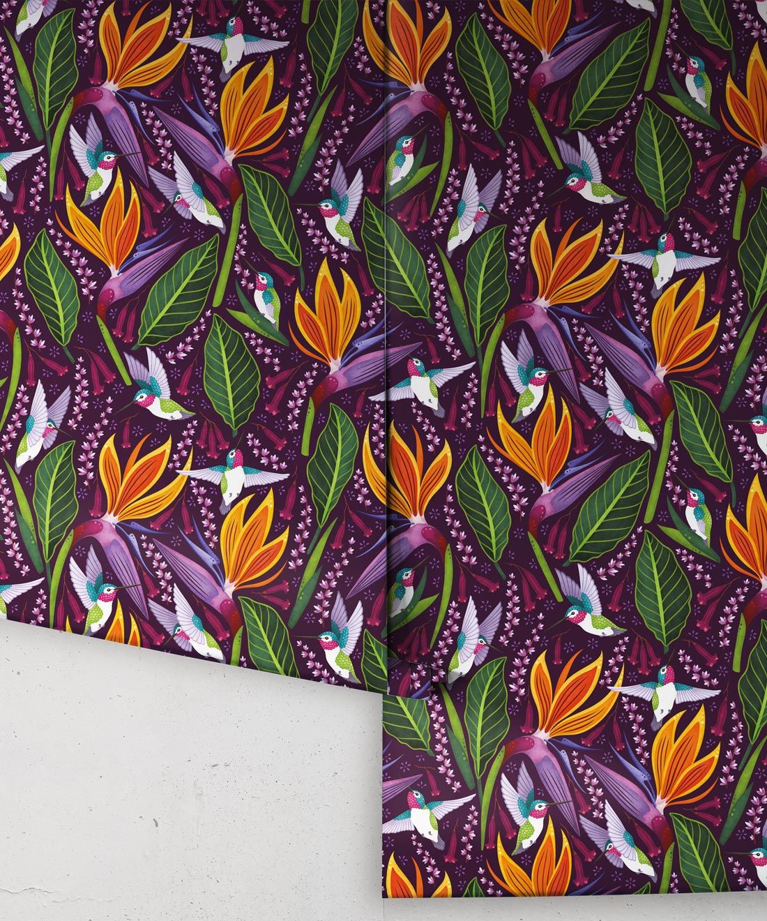 Hummingbird Wallpaper • Birds Of Paradise Flower • Bird Wallpaper • Purple Wallpaper Drops