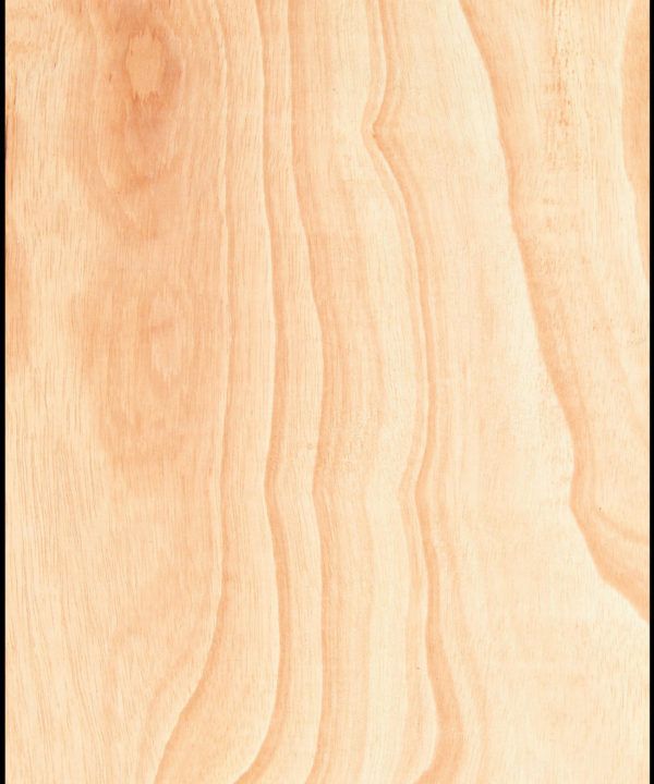 Ply Wood Wallpaper • Light Brown Wallpaper • Wood Grain Wallpaper swatch