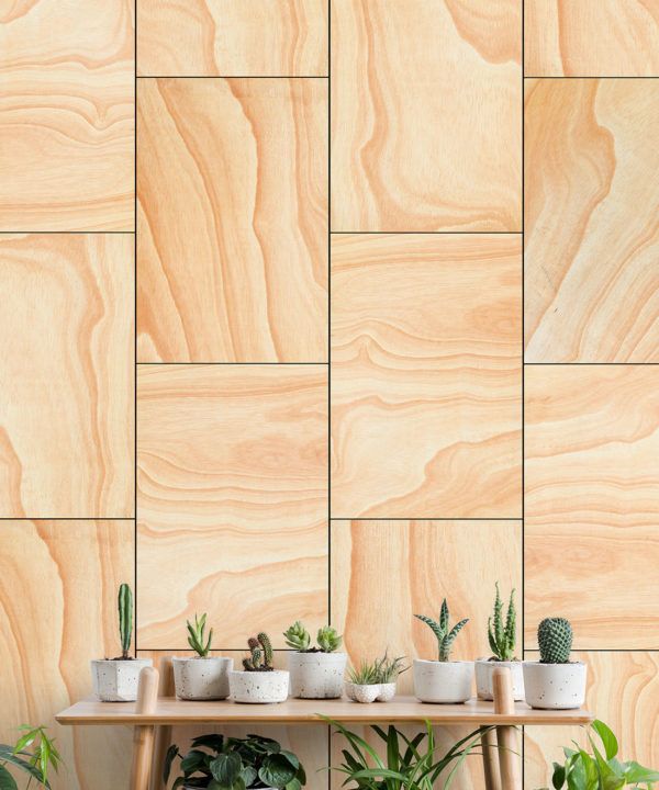 Ply Wood Wallpaper • Light Brown Wallpaper • Wood Grain Wallpaper with a table with a display of small cacti
