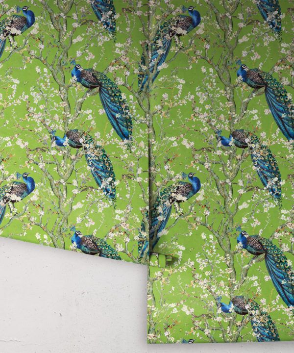 Almond Blossom Wallpaper • Chinoiserie Wallpaper • Wallpaper with Peacocks • Green Chartreause Wallpaper • Rolls