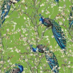 Almond Blossom Wallpaper • Chinoiserie Wallpaper • Wallpaper with Peacocks • Green Chartreause Wallpaper • Swatch