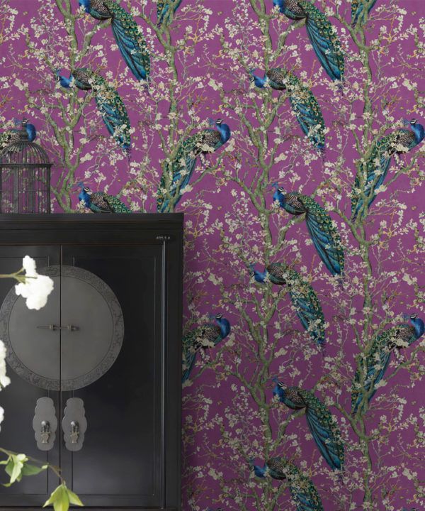 Almond Blossom Wallpaper • Chinoiserie Wallpaper • Wallpaper with Peacocks • Purple Eggplant Wallpaper • Insitu