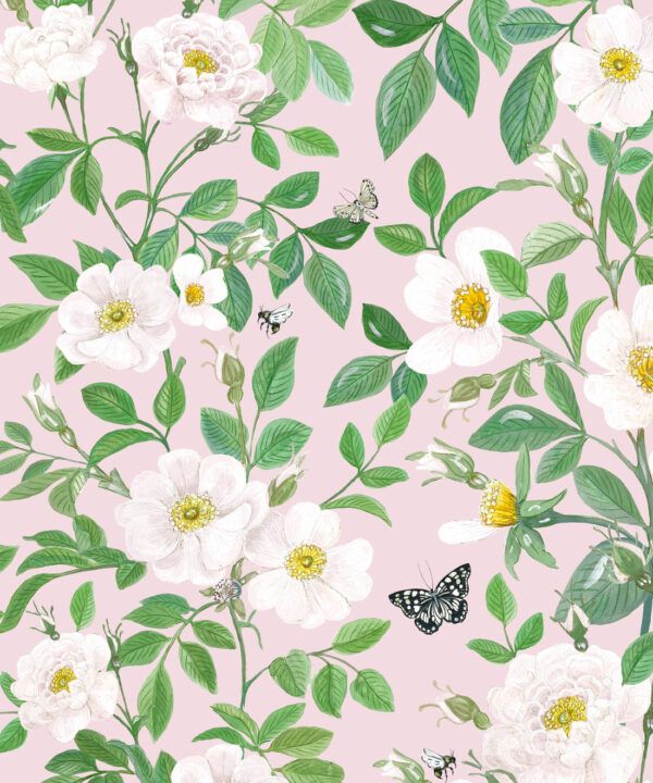Rosa Wallpaper • Floral Wallpaper • Blush • Swatch